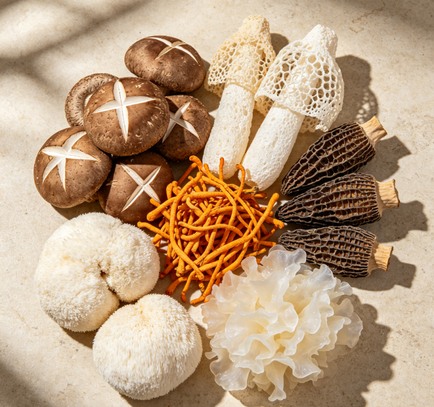 食用菌品質(zhì)檢測(cè)新方案｜盛瀚CIC-D200E糖檢測(cè)專用儀，適配花菇/竹蓀 /蛹蟲草全品類檢測(cè)